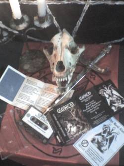 Cold (CHL) : Dead Forest